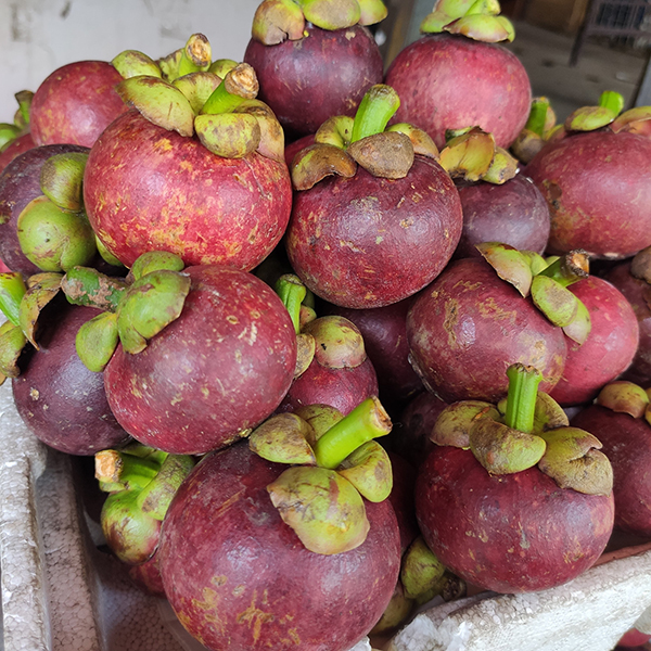 Măng cụt